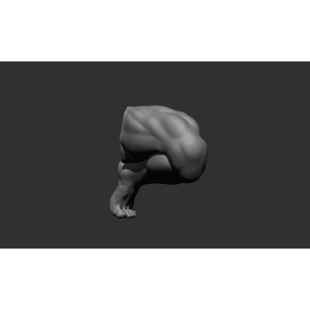 Realistic Male Leg Poses 3D Model – High Poly ZBrush Anatomy, FBX, OBJ - View 54