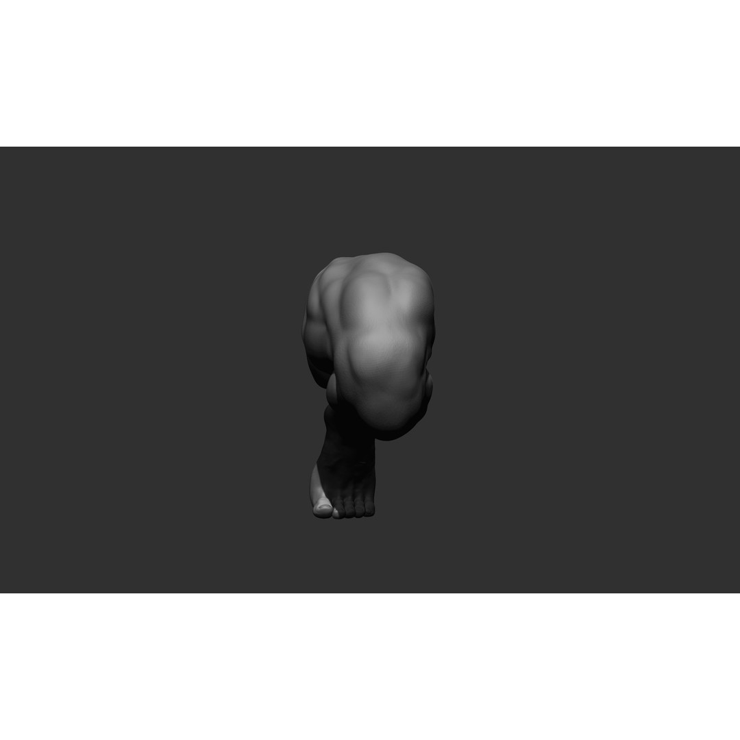 Realistic Male Leg Poses 3D Model – High Poly ZBrush Anatomy, FBX, OBJ - View 55