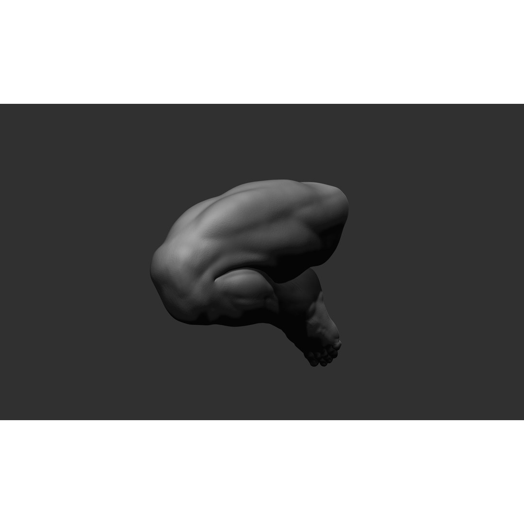 Realistic Male Leg Poses 3D Model – High Poly ZBrush Anatomy, FBX, OBJ - View 57