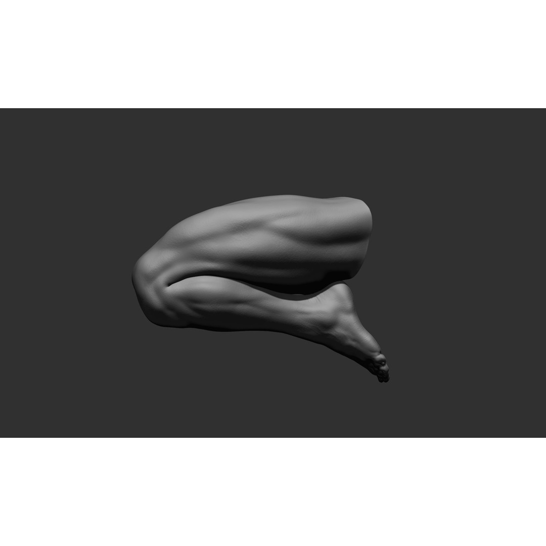 Realistic Male Leg Poses 3D Model – High Poly ZBrush Anatomy, FBX, OBJ - View 58