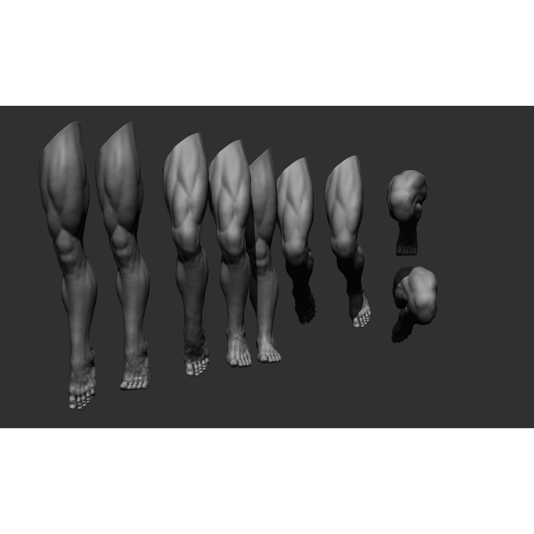 Realistic Male Leg Poses 3D Model – High Poly ZBrush Anatomy, FBX, OBJ - View 6