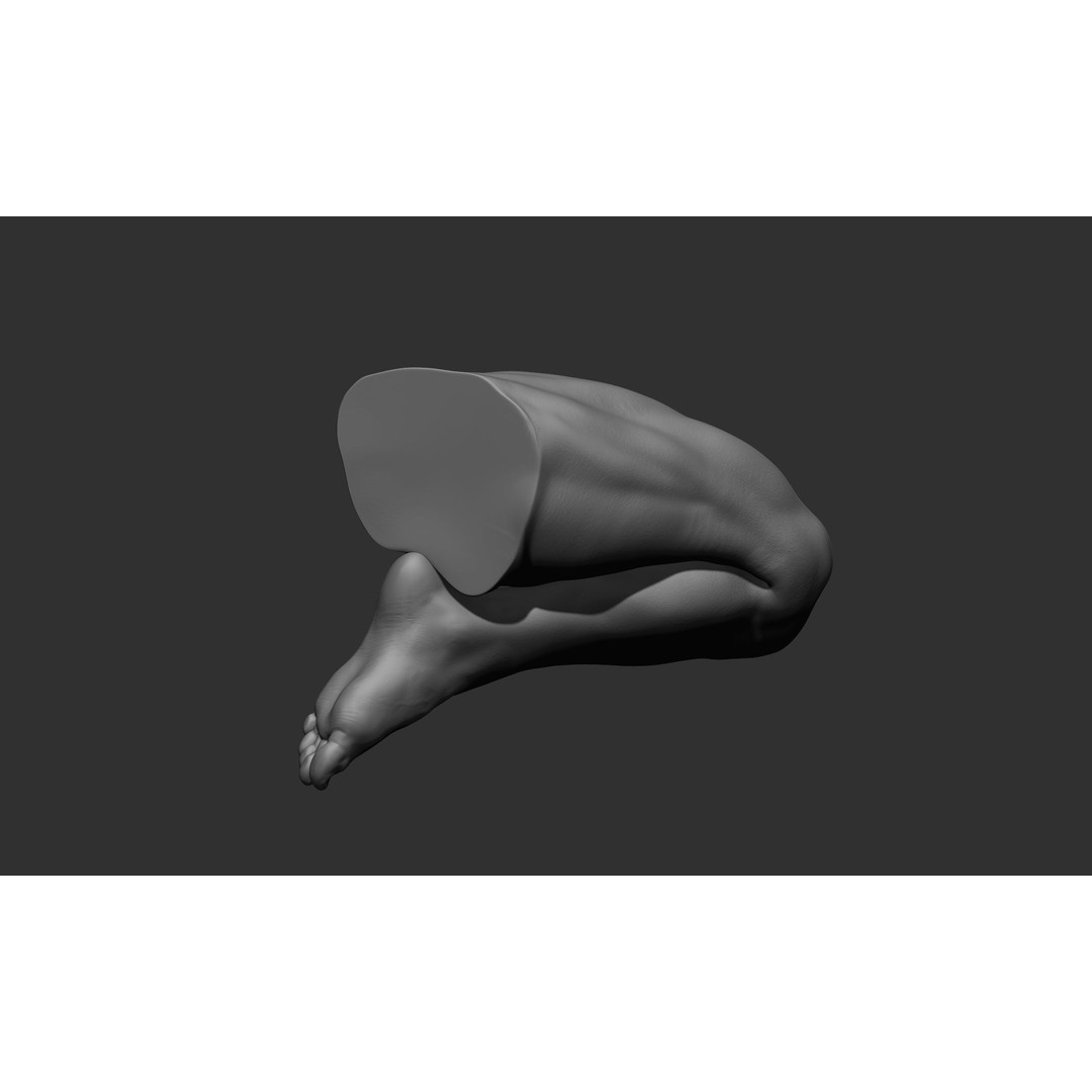 Realistic Male Leg Poses 3D Model – High Poly ZBrush Anatomy, FBX, OBJ - View 60