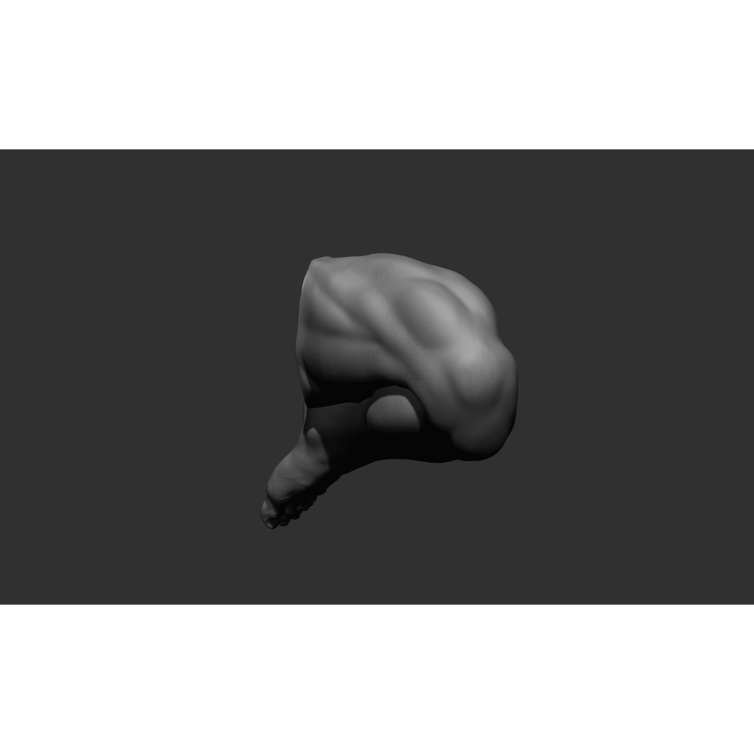 Realistic Male Leg Poses 3D Model – High Poly ZBrush Anatomy, FBX, OBJ - View 61