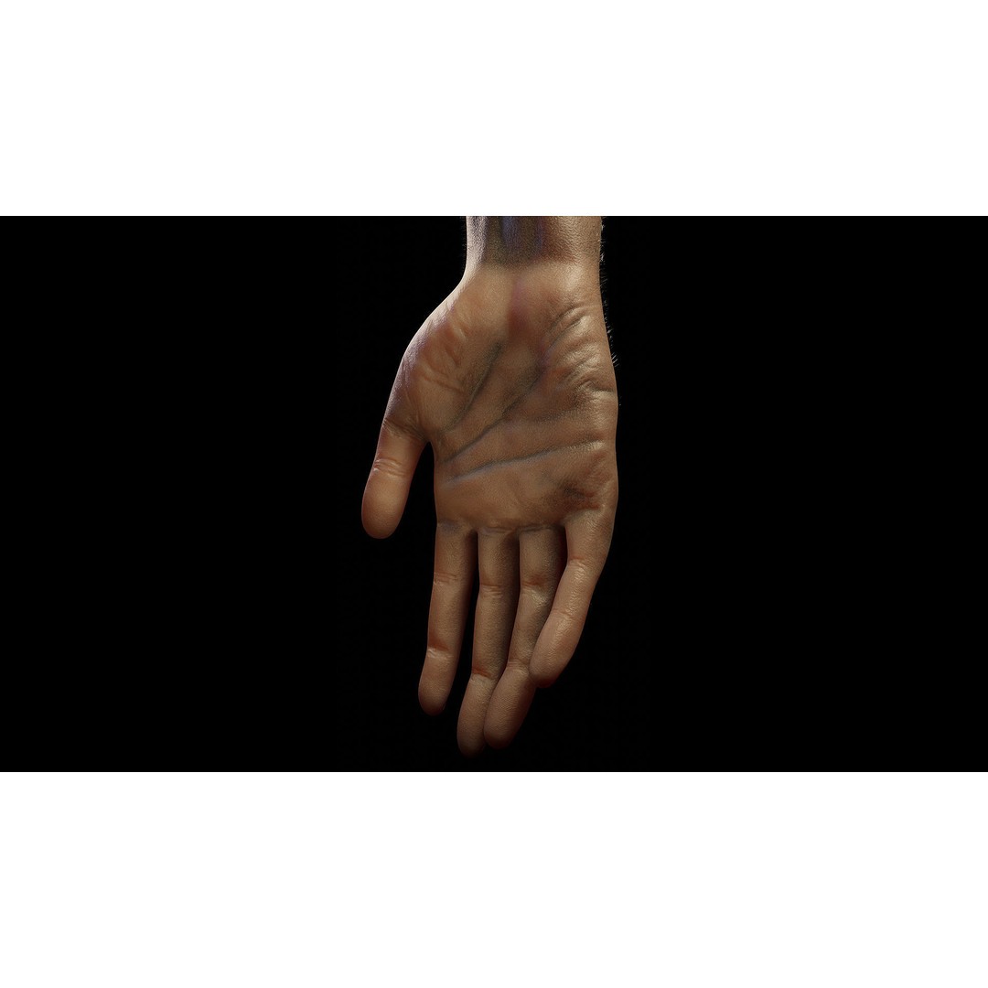 Severed Hand 3D Model – Low Poly Rigged Horror Asset, FBX - View 11