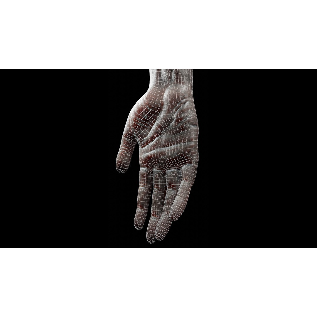 Severed Hand 3D Model – Low Poly Rigged Horror Asset, FBX - View 12
