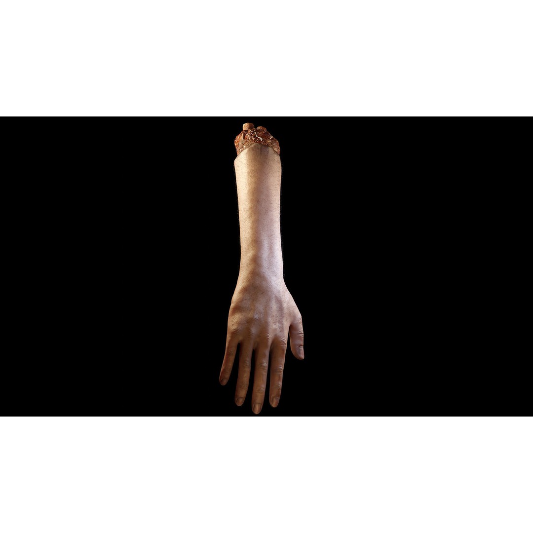 Severed Hand 3D Model – Low Poly Rigged Horror Asset, FBX - View 13