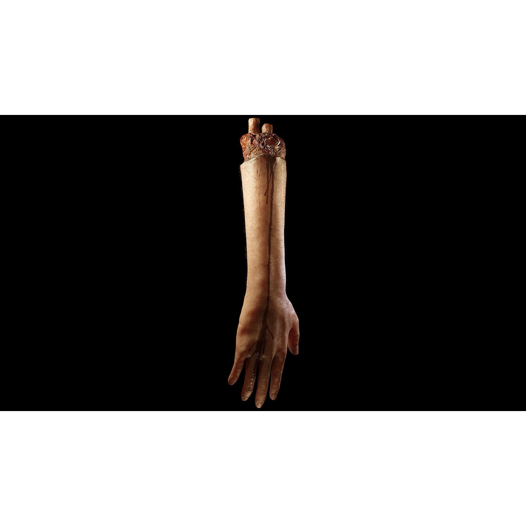 Severed Hand 3D Model – Low Poly Rigged Horror Asset, FBX - View 14