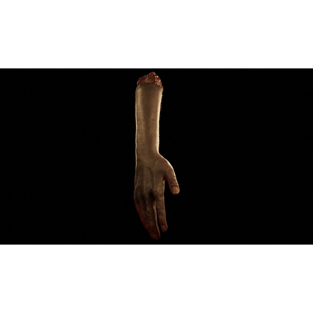Severed Hand 3D Model – Low Poly Rigged Horror Asset, FBX - View 6