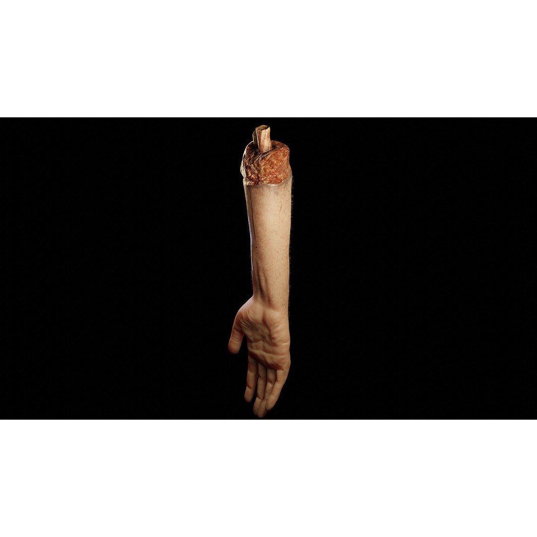 Severed Hand 3D Model – Low Poly Rigged Horror Asset, FBX - View 8