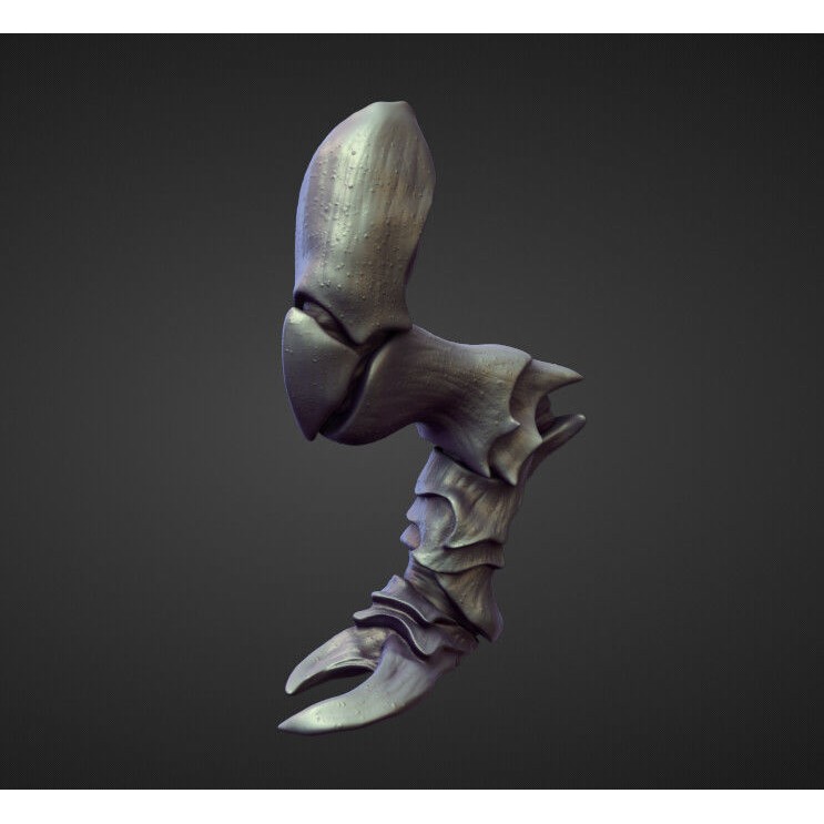 Legs 3D Model – High Poly Character Sculpt Pack for Blender
