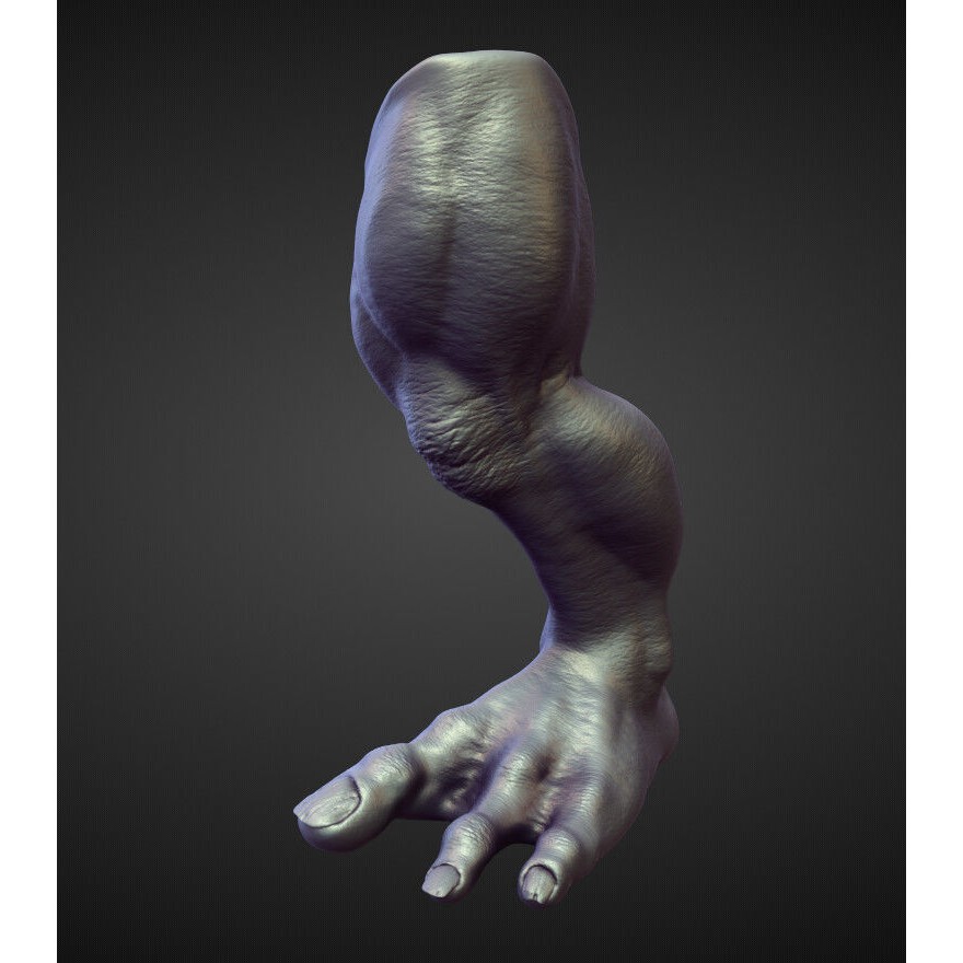 Legs 3D Model – High Poly Character Sculpt Pack for Blender - View 10