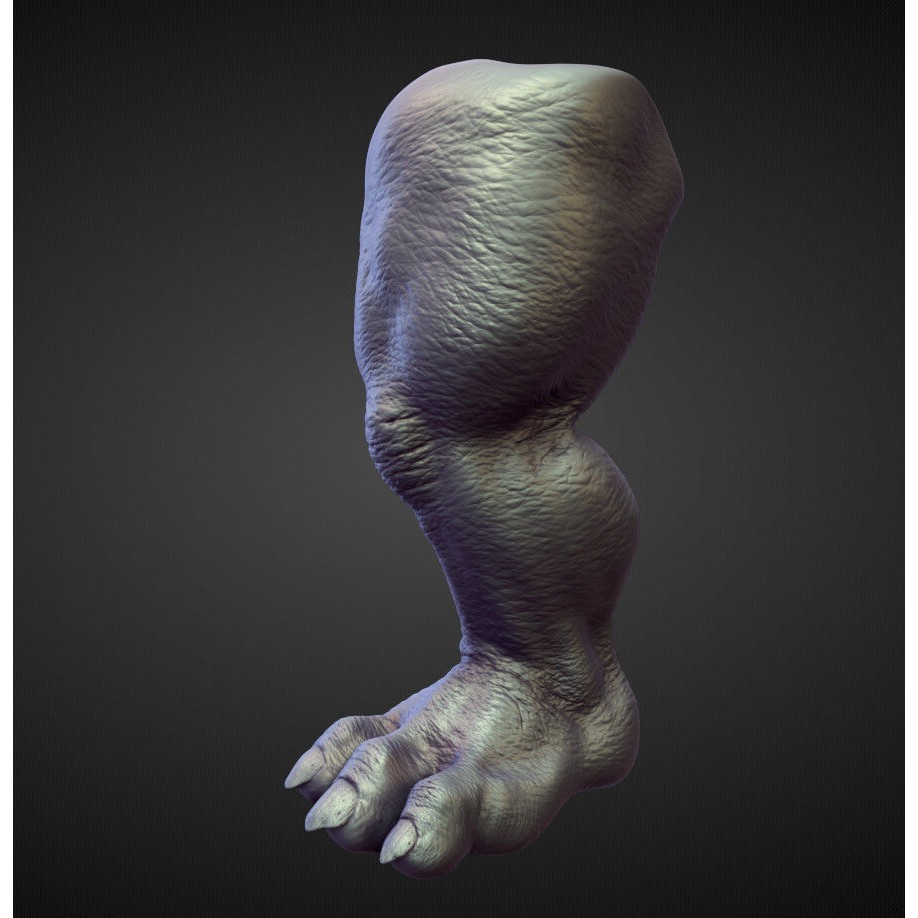 Legs 3D Model – High Poly Character Sculpt Pack for Blender - View 11