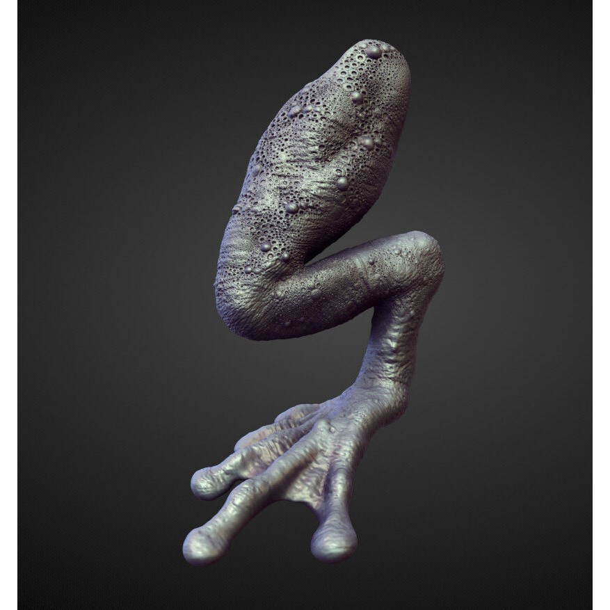 Legs 3D Model – High Poly Character Sculpt Pack for Blender - View 15