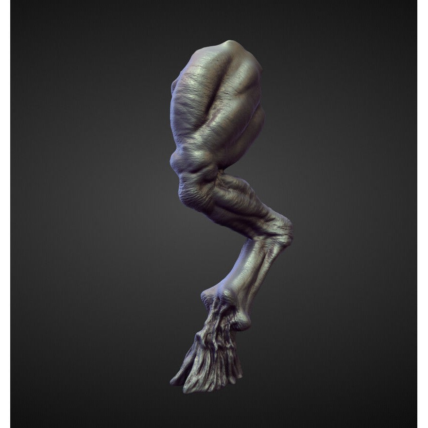 Legs 3D Model – High Poly Character Sculpt Pack for Blender - View 18