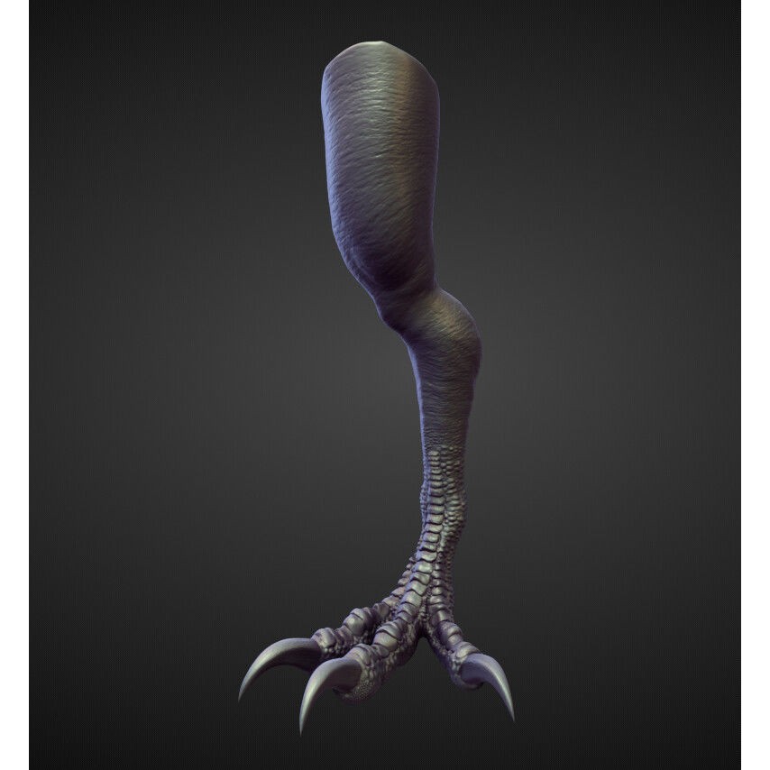 Legs 3D Model – High Poly Character Sculpt Pack for Blender - View 22