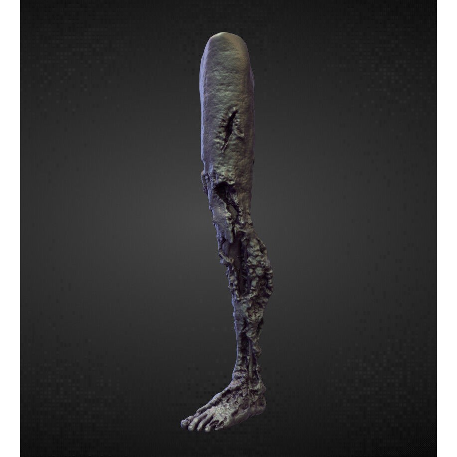 Legs 3D Model – High Poly Character Sculpt Pack for Blender - View 27