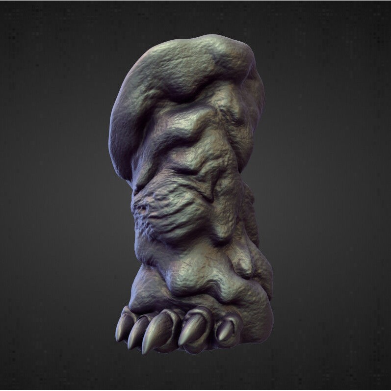 Legs 3D Model – High Poly Character Sculpt Pack for Blender - View 28