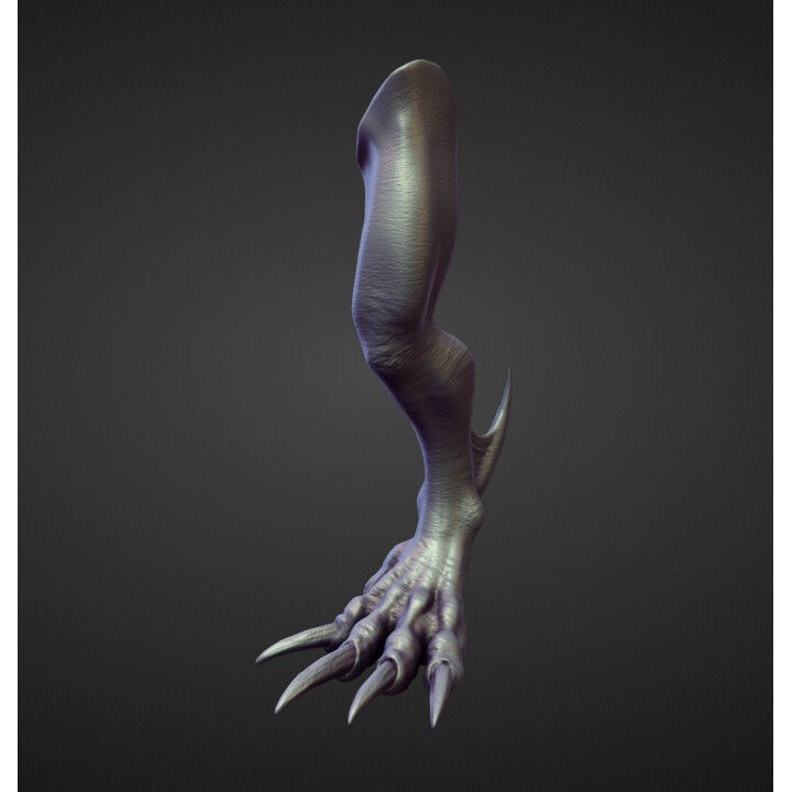 Legs 3D Model – High Poly Character Sculpt Pack for Blender - View 38