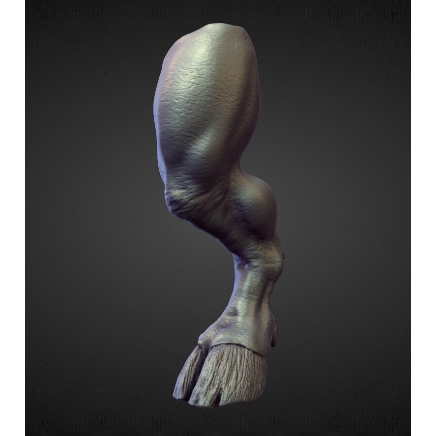 Legs 3D Model – High Poly Character Sculpt Pack for Blender - View 4
