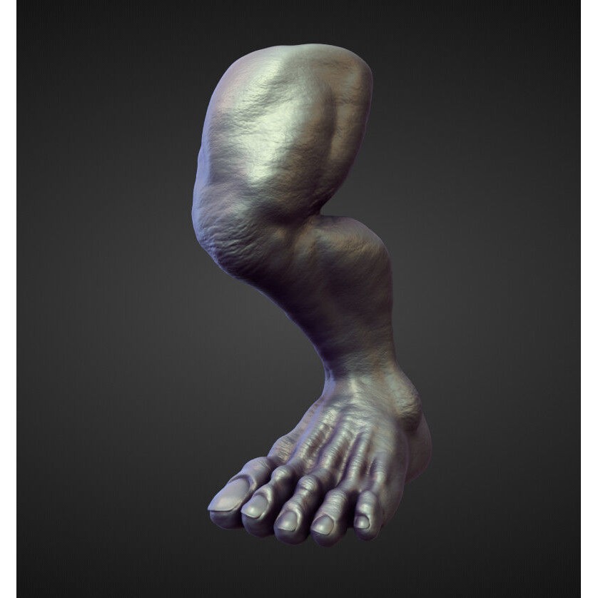 Legs 3D Model – High Poly Character Sculpt Pack for Blender - View 42