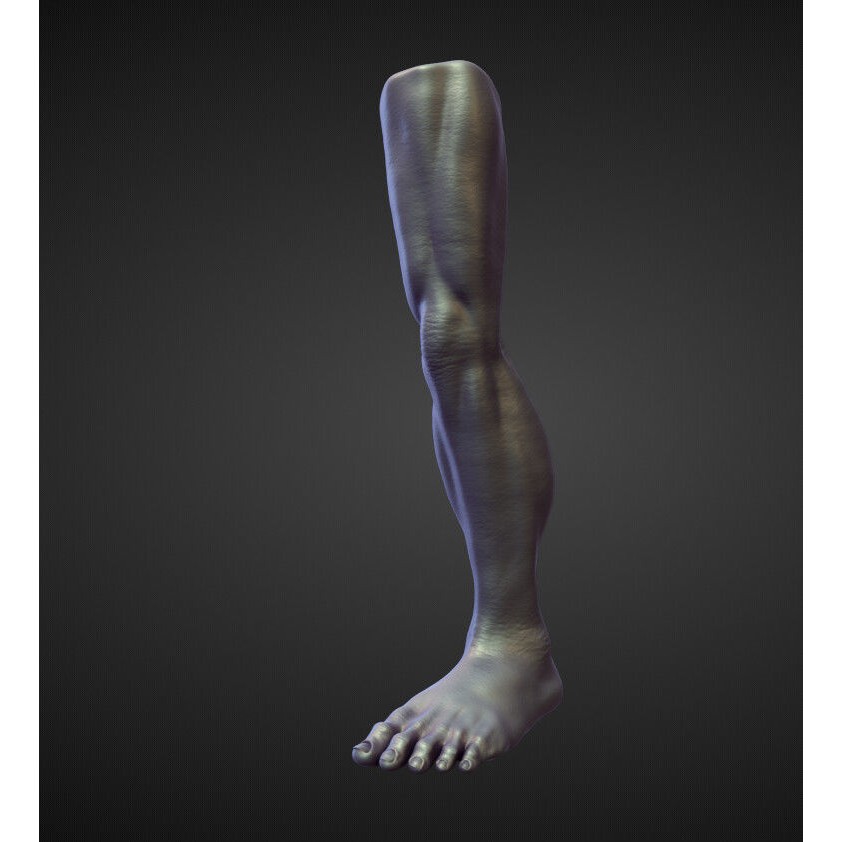 Legs 3D Model – High Poly Character Sculpt Pack for Blender - View 47