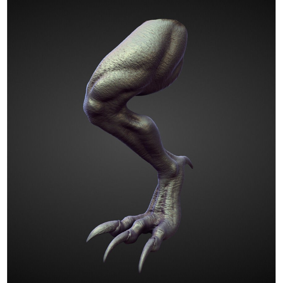 Legs 3D Model – High Poly Character Sculpt Pack for Blender - View 6