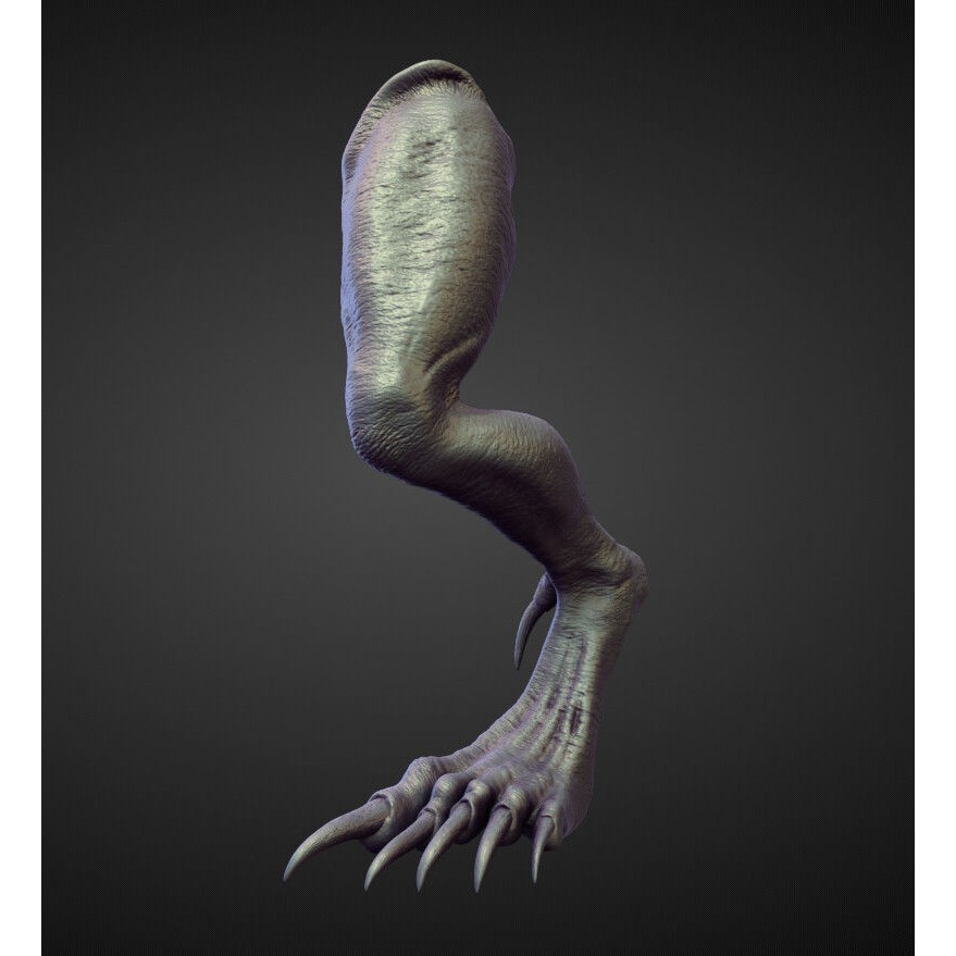 Legs 3D Model – High Poly Character Sculpt Pack for Blender - View 7