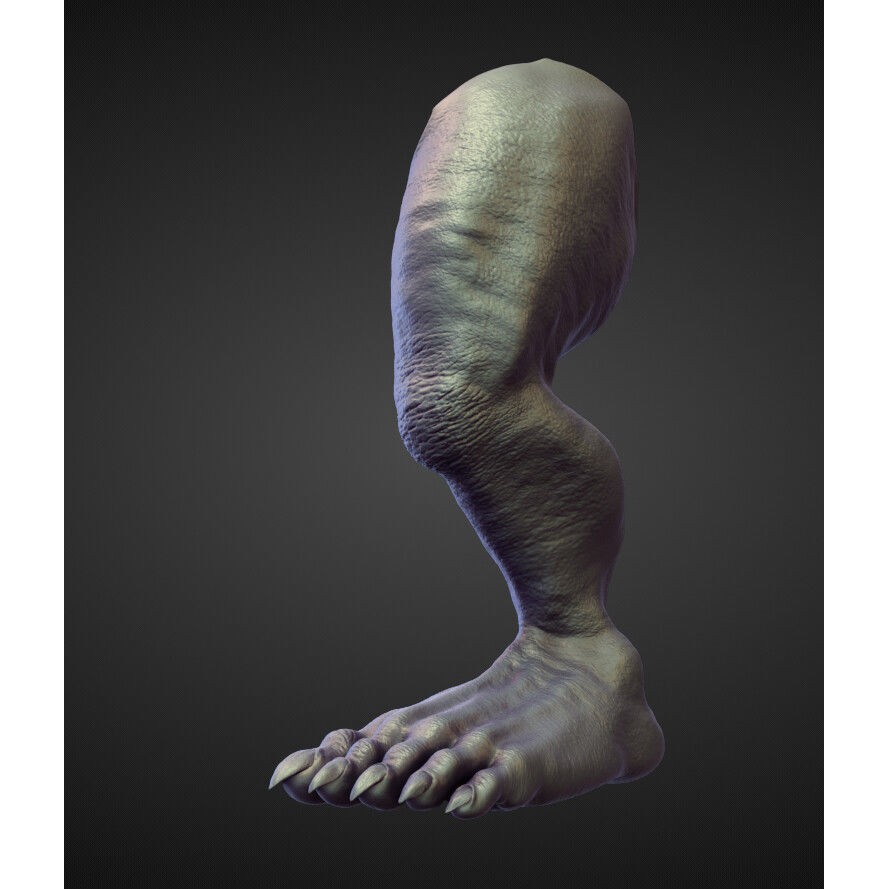 Legs 3D Model – High Poly Character Sculpt Pack for Blender - View 8
