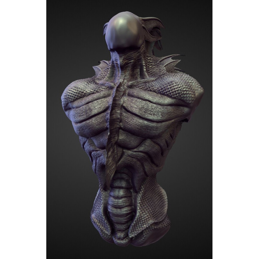 High Poly Torso 3D Model – Character Anatomy Sculpt Pack, Blender & OBJ - View 12