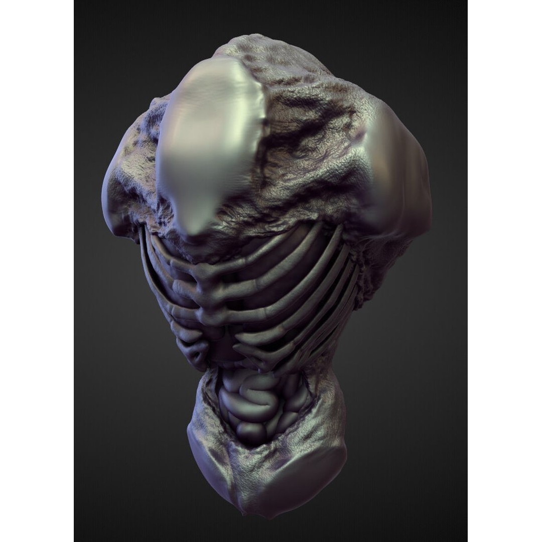 High Poly Torso 3D Model – Character Anatomy Sculpt Pack, Blender & OBJ - View 13
