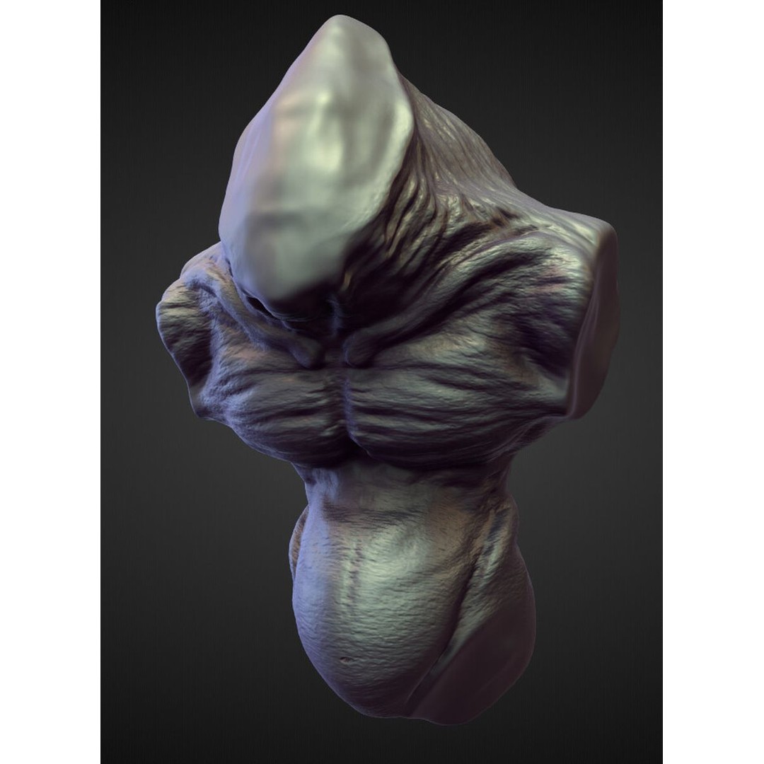 High Poly Torso 3D Model – Character Anatomy Sculpt Pack, Blender & OBJ - View 14