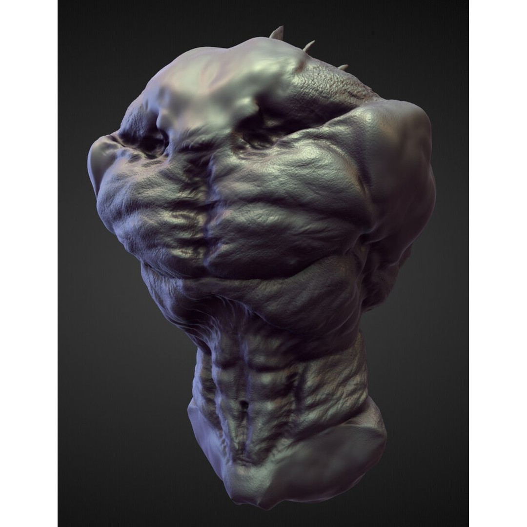 High Poly Torso 3D Model – Character Anatomy Sculpt Pack, Blender & OBJ - View 15