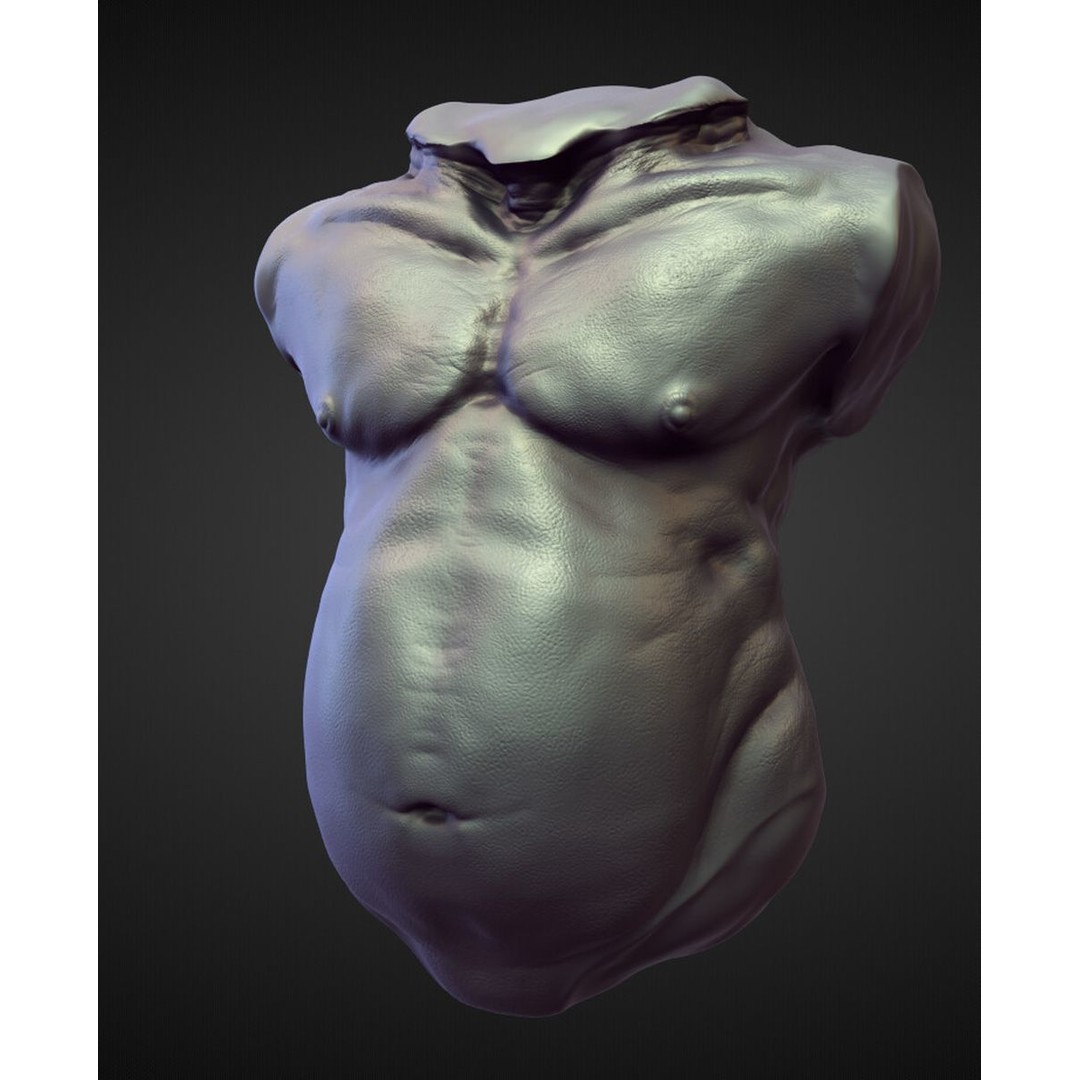 High Poly Torso 3D Model – Character Anatomy Sculpt Pack, Blender & OBJ - View 17