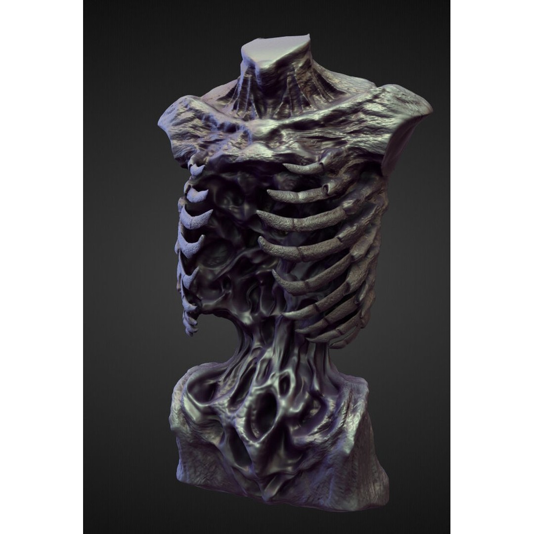 High Poly Torso 3D Model – Character Anatomy Sculpt Pack, Blender & OBJ - View 18