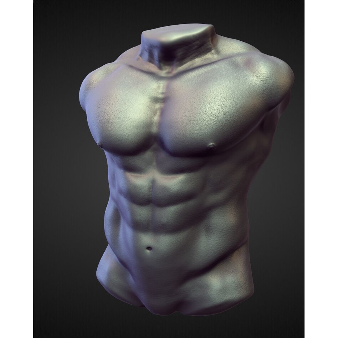 High Poly Torso 3D Model – Character Anatomy Sculpt Pack, Blender & OBJ - View 19