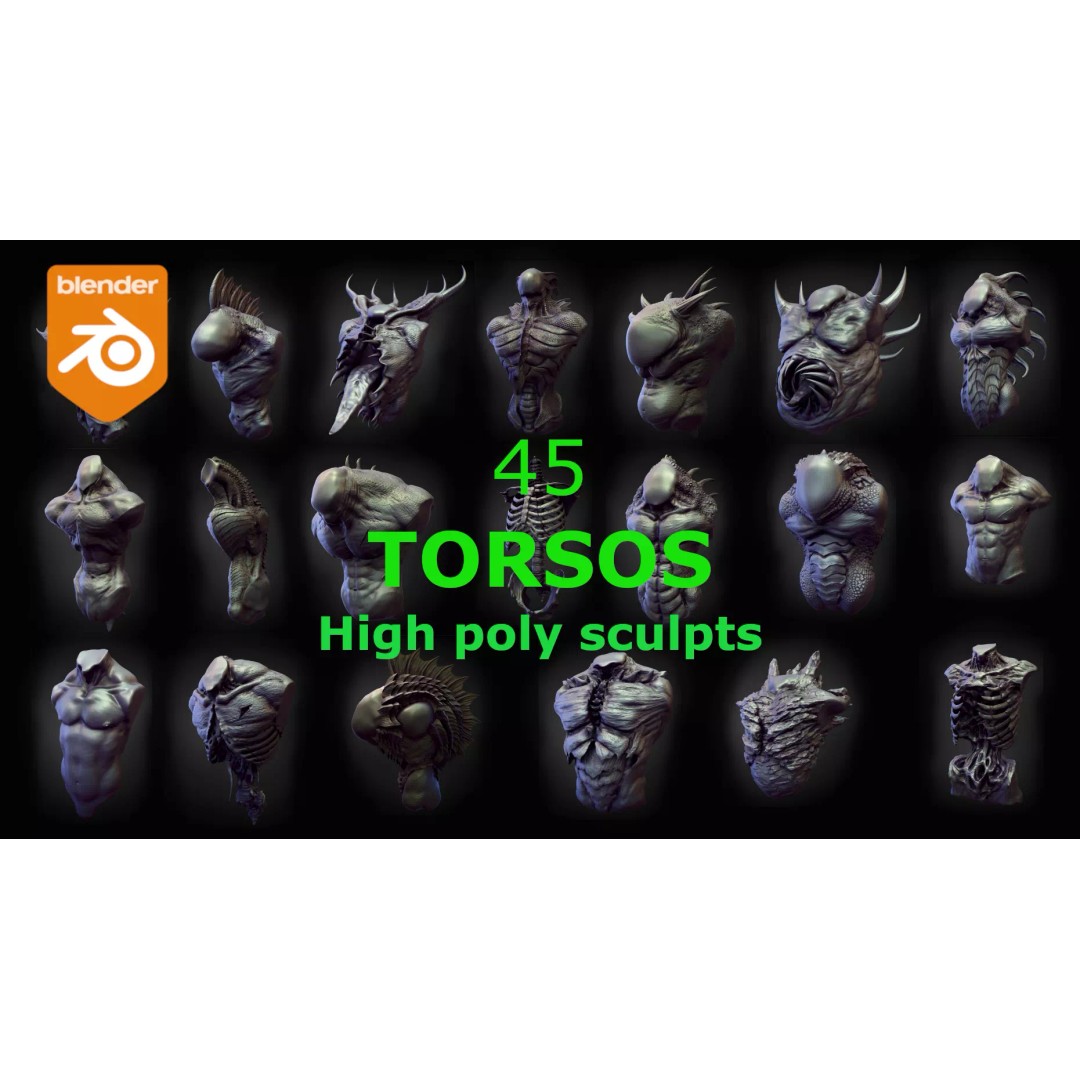 High Poly Torso 3D Model – Character Anatomy Sculpt Pack, Blender & OBJ - View 2