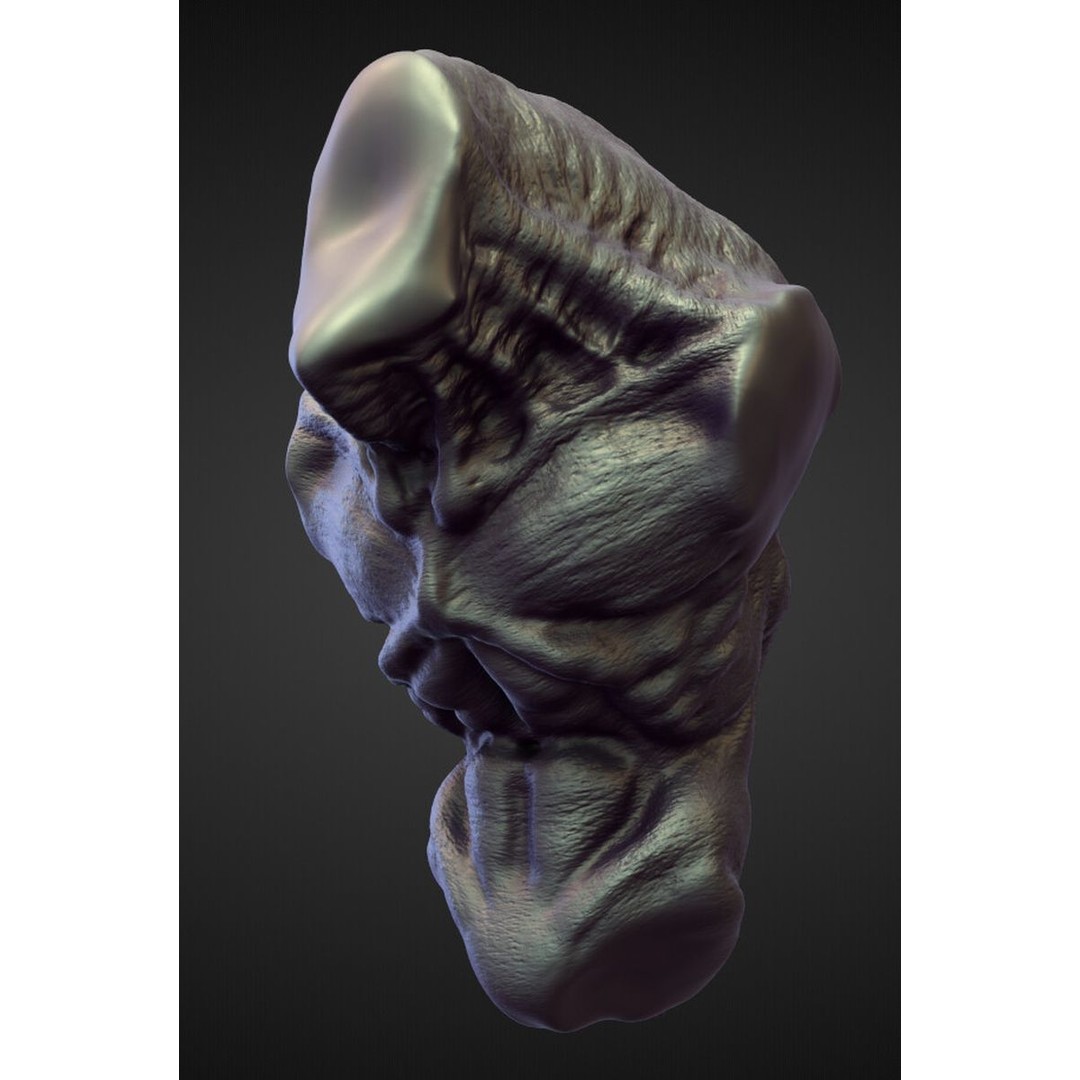 High Poly Torso 3D Model – Character Anatomy Sculpt Pack, Blender & OBJ - View 21