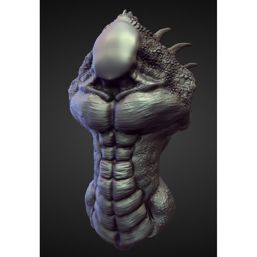 High Poly Torso 3D Model – Character Anatomy Sculpt Pack, Blender & OBJ - View 24