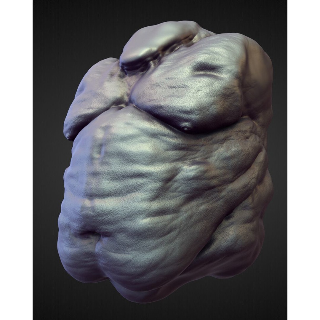 High Poly Torso 3D Model – Character Anatomy Sculpt Pack, Blender & OBJ - View 30