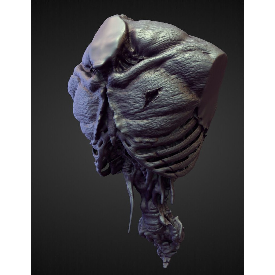 High Poly Torso 3D Model – Character Anatomy Sculpt Pack, Blender & OBJ - View 32