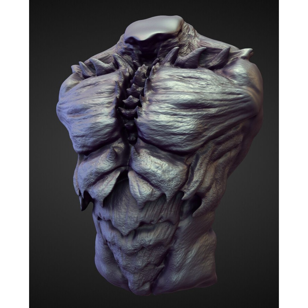 High Poly Torso 3D Model – Character Anatomy Sculpt Pack, Blender & OBJ - View 34