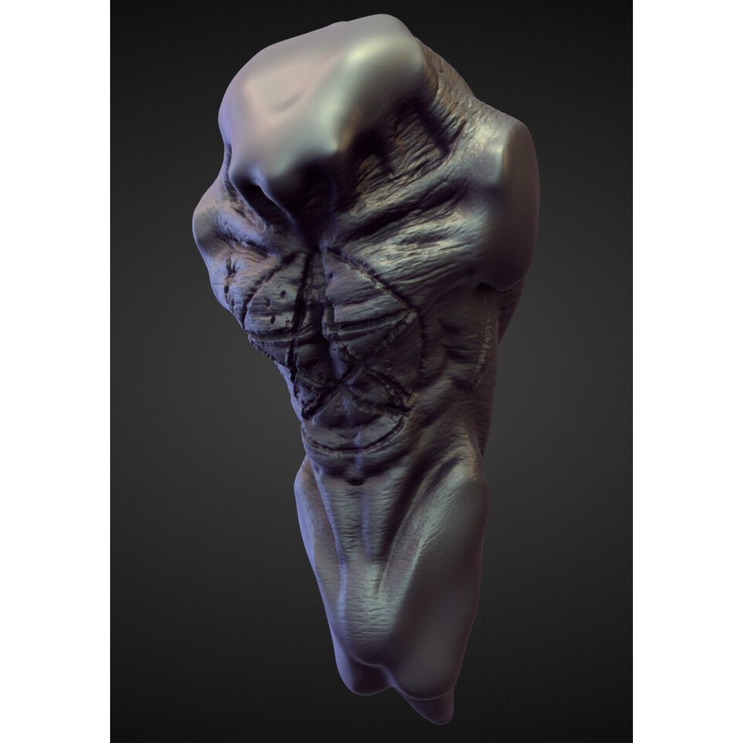 High Poly Torso 3D Model – Character Anatomy Sculpt Pack, Blender & OBJ - View 38