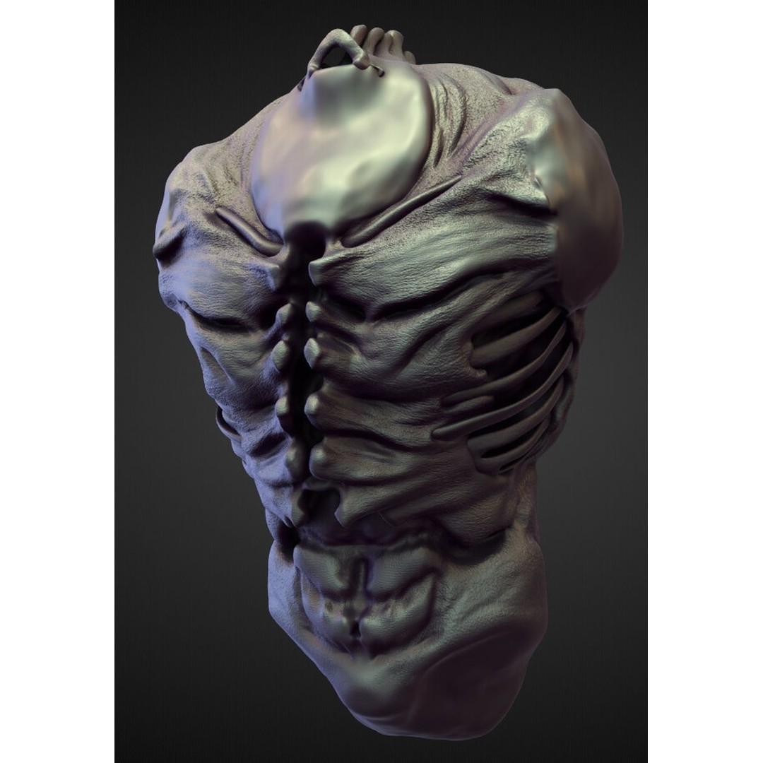 High Poly Torso 3D Model – Character Anatomy Sculpt Pack, Blender & OBJ - View 4