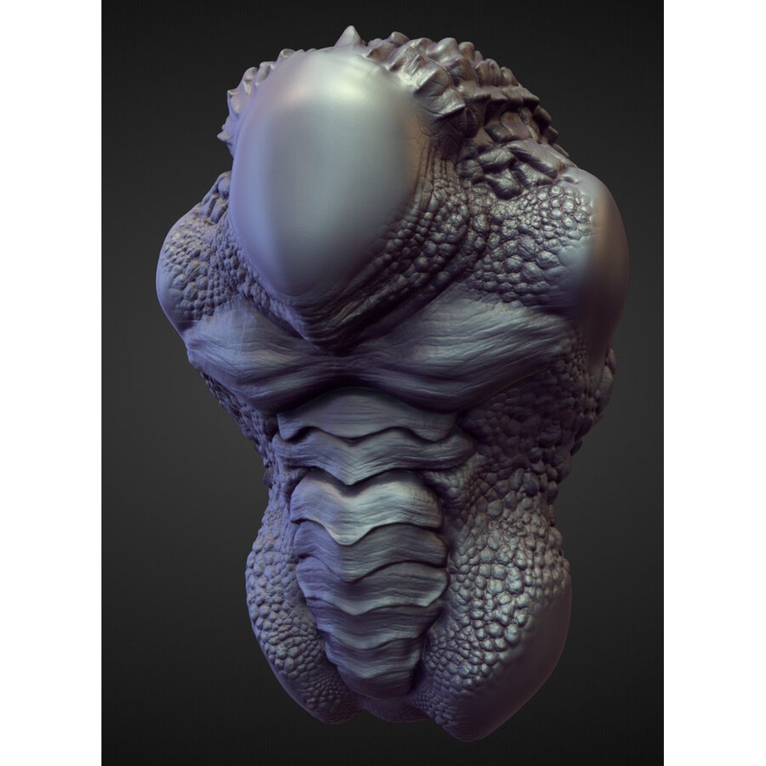 High Poly Torso 3D Model – Character Anatomy Sculpt Pack, Blender & OBJ - View 41
