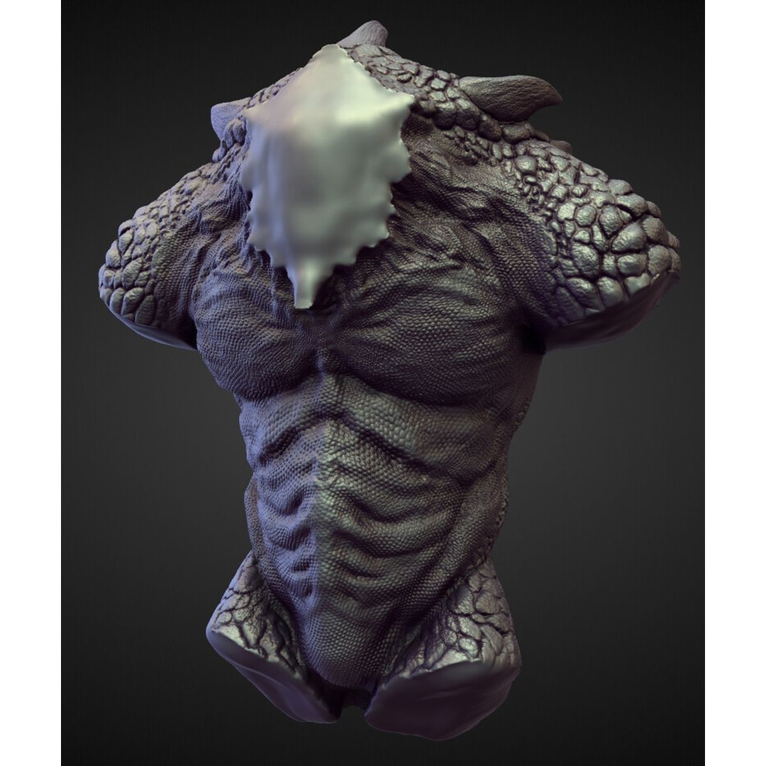 High Poly Torso 3D Model – Character Anatomy Sculpt Pack, Blender & OBJ - View 43