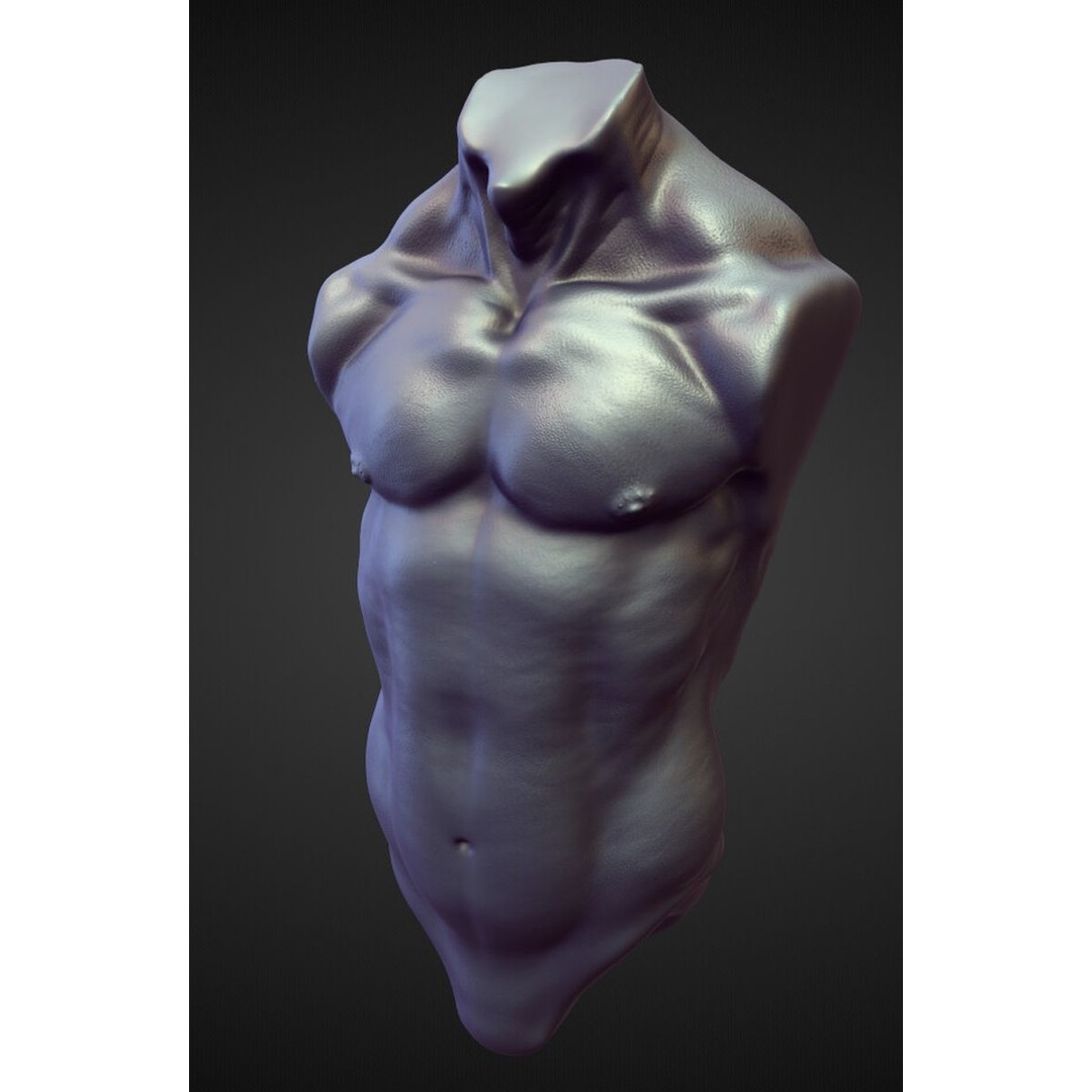 High Poly Torso 3D Model – Character Anatomy Sculpt Pack, Blender & OBJ - View 5