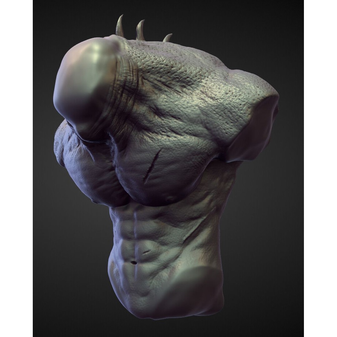 High Poly Torso 3D Model – Character Anatomy Sculpt Pack, Blender & OBJ - View 6