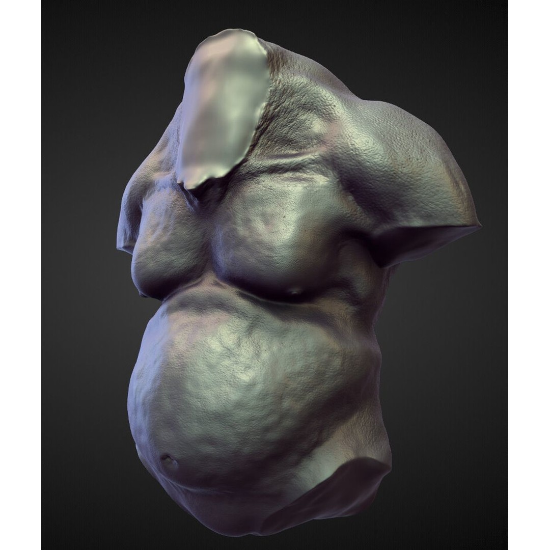 High Poly Torso 3D Model – Character Anatomy Sculpt Pack, Blender & OBJ - View 7