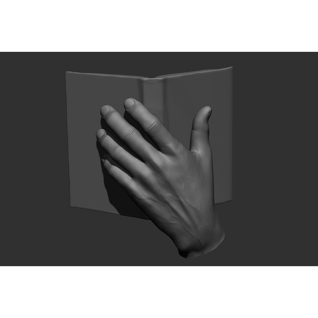 Male Hand Poses 3D Model – Realistic High Poly Collection, FBX & OBJ - View 40