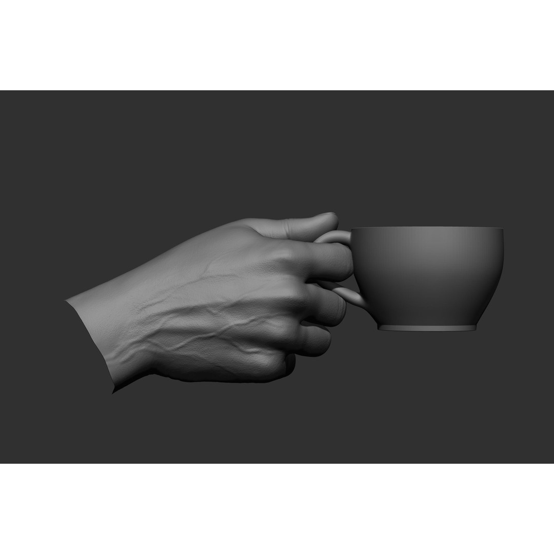 Male Hand Poses 3D Model – Realistic High Poly Collection, FBX & OBJ - View 49